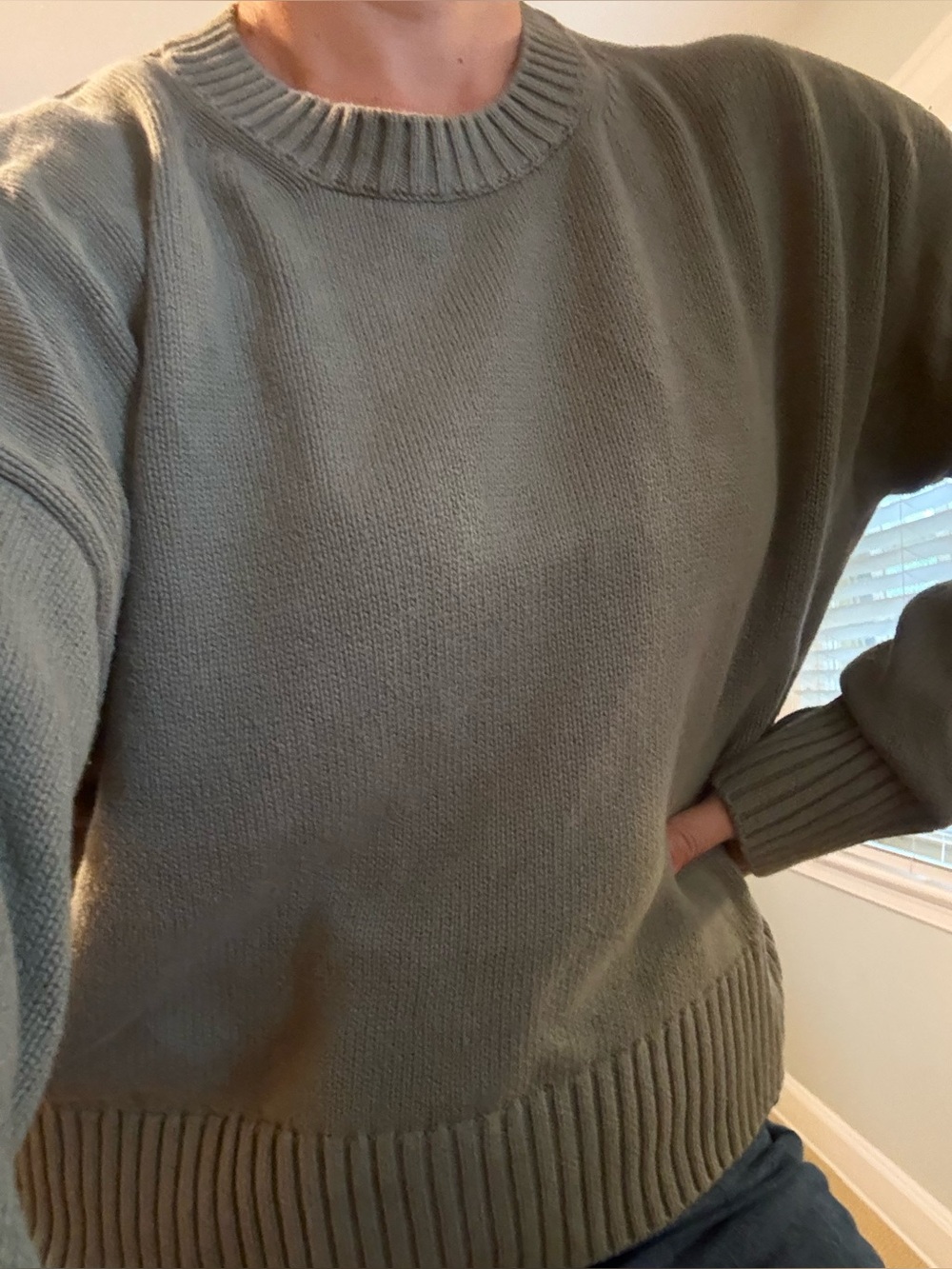 Sage cotton boyfriend crew neck sweater
